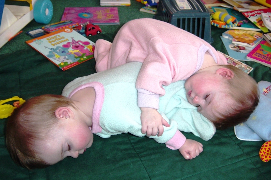 What It&#8217;s Like To Raise Twins?