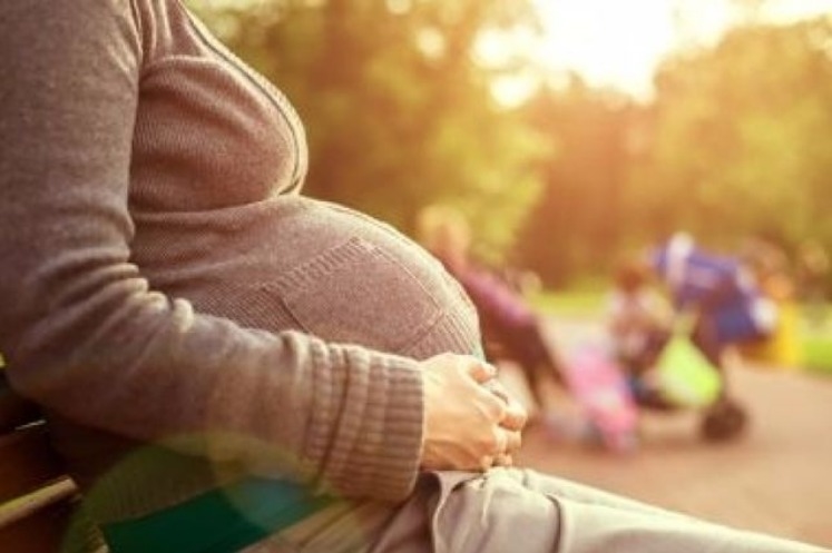 गर्भावस्‍था सप्ताह २४: भ्रूण विकास