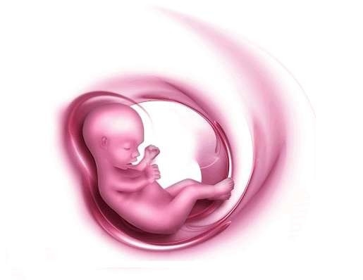 गर्भावस्था के दौरान क्या है गर्भ संस्कार ?