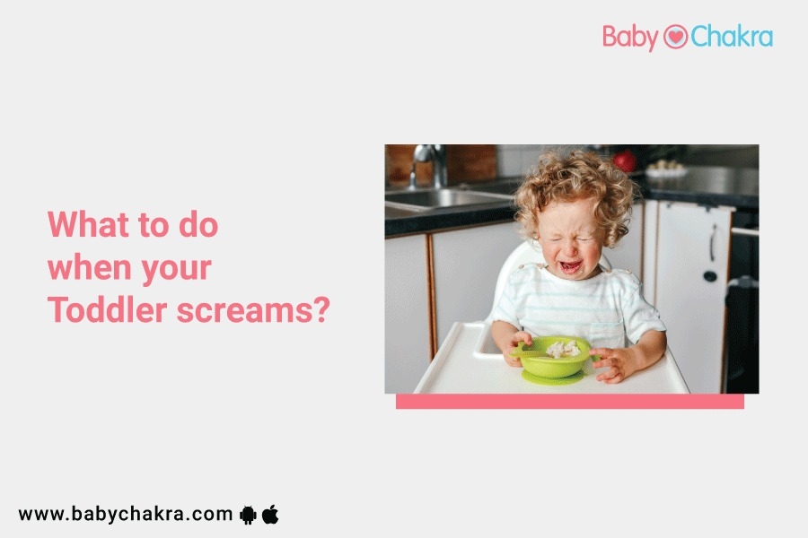 What To Do When Your Toddler Screams?