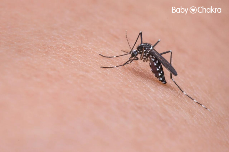 7 Ways To Keep Mosquitoes Away From Your Baby