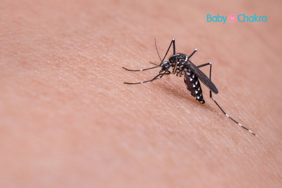 गर्मी व बरसात में बच्चे को मच्छर के काटने से होने वाली बीमारियां और बचने के उपाय