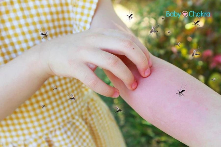 Mosquito Bites: 7 प्राकृतिक तेल दिलाएंगे मच्छर के काटने के बाद राहत