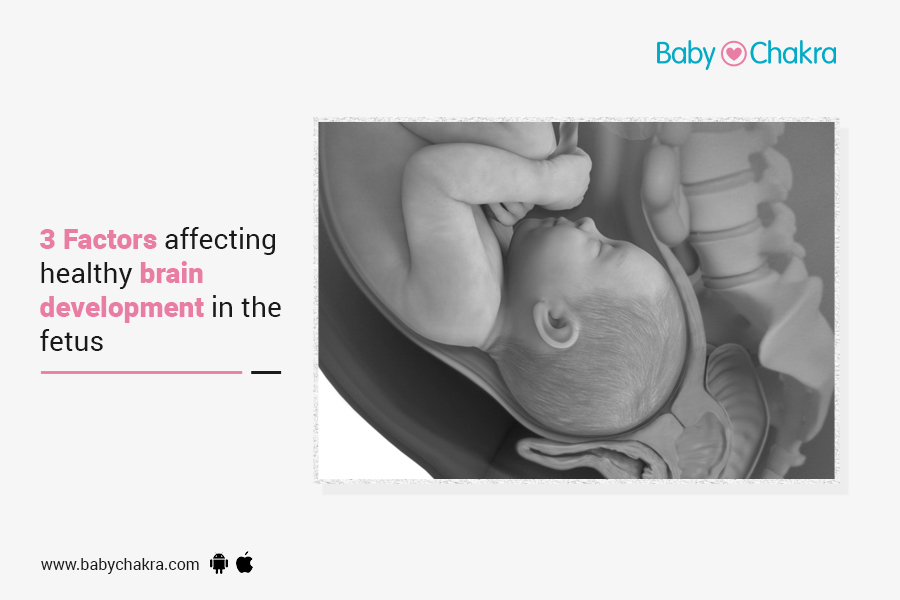 3 Factors Affecting Healthy Brain Development In The Fetus
