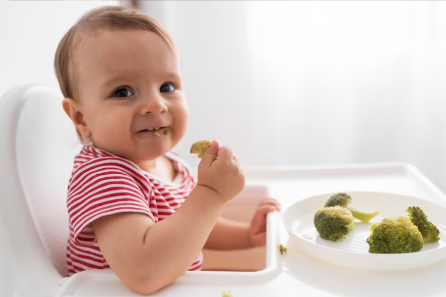 starting solids at 6 months